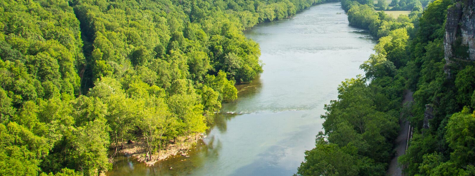 scenic view of trees and river
